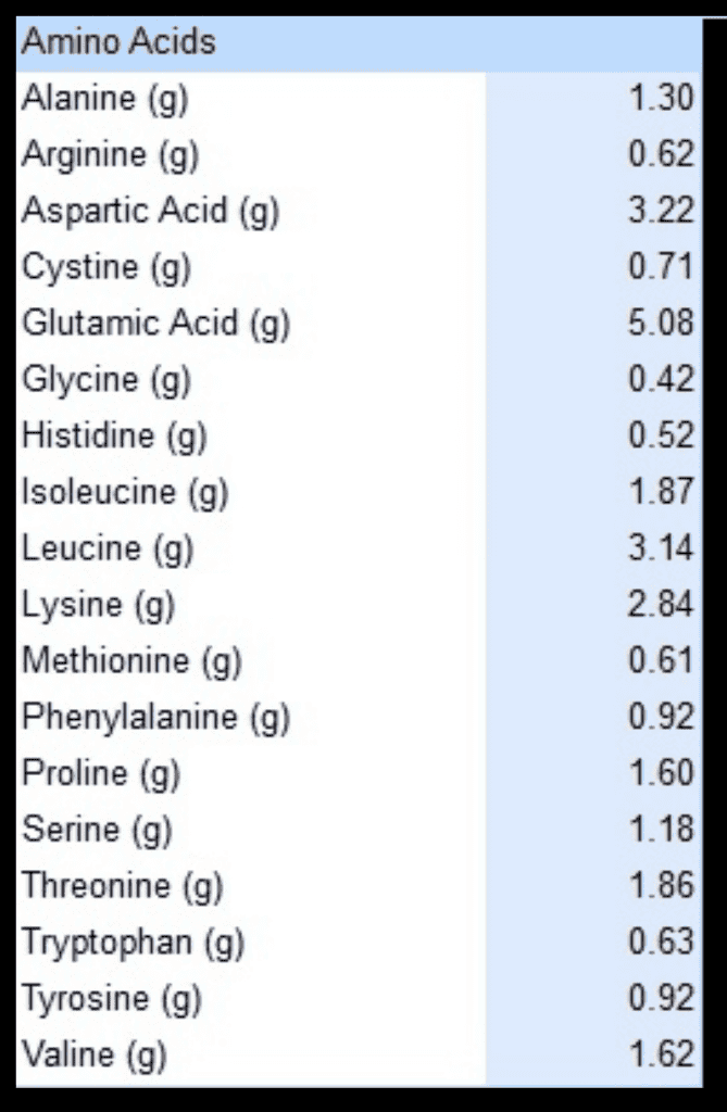 Unbiased bum protein powder review